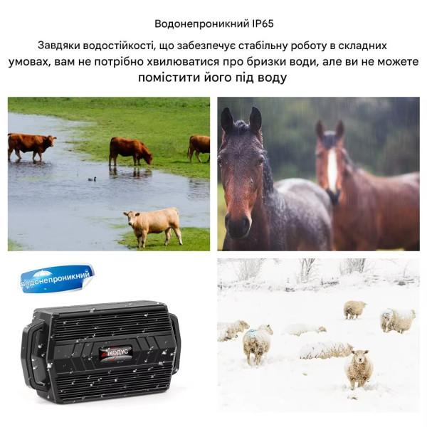 ML935 (TK935) Водонепроникний GPS GSM 2G трекер відстеження великої худоби мисливської собаки або іншої тварини в реальному часі від MiCODUS за 2225грн (код товару: ML935(TK935) )