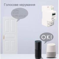 1-фазный 2-полюсный высокоточный малогабаритный Zigbee электросчетчик с LCD дисплеем на 220 Вольт 65 А Tuya (Smart Life) от TOMZN