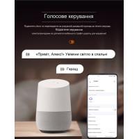 1-но фазный WIFI выключатель-реле с таймером на DIN рейку 220В до 63A для Tuya или Smart Life от TOMZN