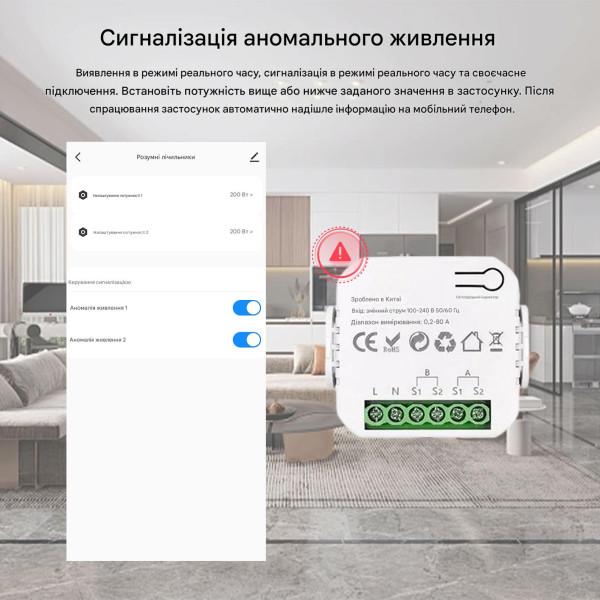 WiFi устройство учета потребляемой энергии, счетчик на две линии нагрузки до 80 Ампер для Tuya (SmartLife) от Qiachip