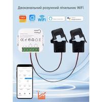 WiFi устройство учета потребляемой энергии, счетчик на две линии нагрузки до 80 Ампер для Tuya (SmartLife) от Qiachip