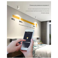 Дистанционный Zigbee диммер с регулировкой яркости освещения 220/230 Вольт. от EACHEN